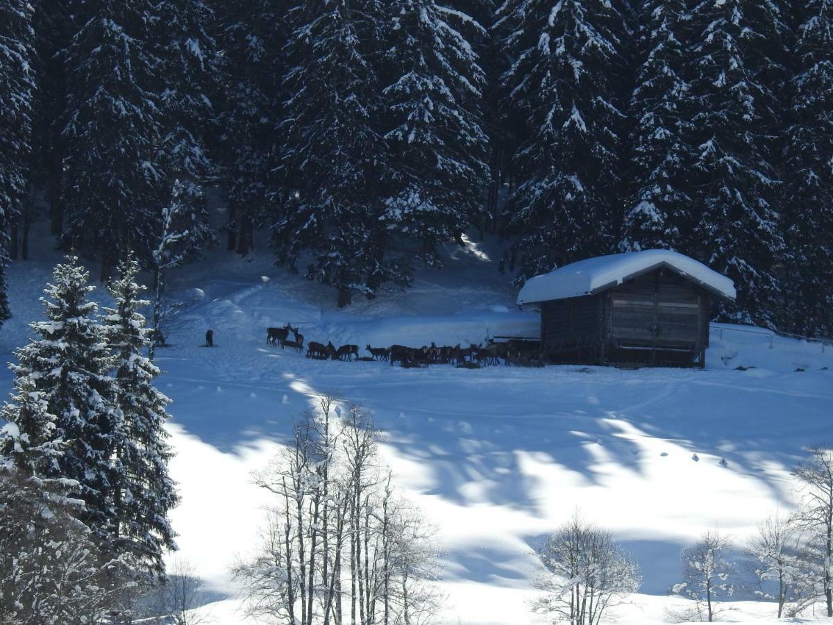 Blockhaus Ganschitter Appartement Grossarl Buitenkant foto